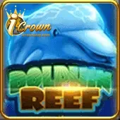 Dolphin Reef